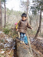 2010-03-11 (Thu) ̉摜