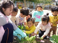 2010-04-14 (Wed) ̉摜