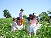 2010-06-01 (Thu) ̉摜