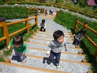 2010-06-01 (Thu) ̉摜