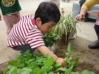 2010-06-08 (Thu) ̉摜