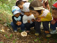 2010-10-19 (Tue) ̉摜