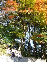 2010-11-19 (Fri) ̉摜