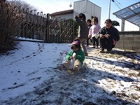 2011-01-17 (Mon) ̉摜