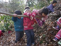 2011-02-04 (Fri) ̉摜