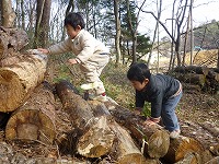 2011-02-04 (Fri) ̉摜