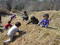 2011-02-23 (Wed) ̉摜