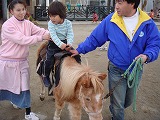 2006-12-18  i) ̉摜