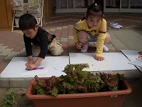 2007-06-25 (Mon) ̉摜