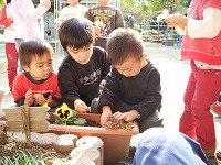2007-11-20 (Tue) ̉摜