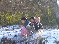 2008-01-15 (tue) ̉摜
