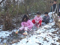 2008-01-15 (tue) ̉摜