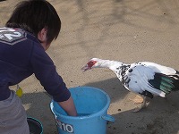 2008-02-23 (Sat) ̉摜