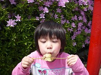 2008-05-12 (Mon) ̉摜