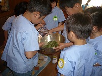 2008-06-17 (Tue) ̉摜