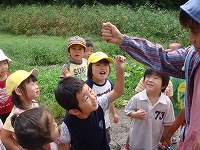 2008-09-01 (Mon) ̉摜