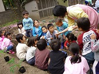 2009-05-11 (Mon) ̉摜