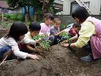 2009-05-11 (Mon) ̉摜