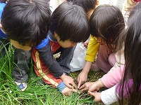 2010-04-20 (Tue) ̉摜