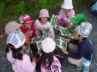 2010-05-14 (Fri) ̉摜