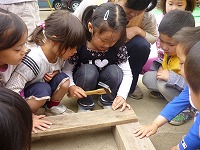 2010-06-08 (Tue) ̉摜
