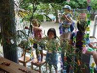 2010-07-07 (Wed) ̉摜