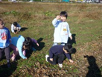 2010-11-24 (Wed) ̉摜
