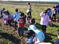 2010-11-24 (Wed) ̉摜