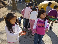 2011-01-12 (Wed) ̉摜