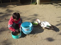 2006-11-10 (Fri) ̉摜
