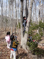 2007-03-22 (Thu) ̉摜