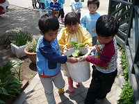 2007-05-12 (Sat) ̉摜