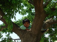 2008-05-22 (Thu) ̉摜