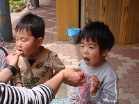 2008-06-02 (Mon) ̉摜