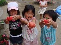 2008-08-11 (Mon) ̉摜