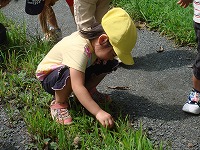 2008-09-01 (Mon) ̉摜