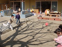 2009-02-10 (Tue) ̉摜