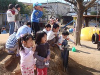 2009-02-10 (Tue) ̉摜