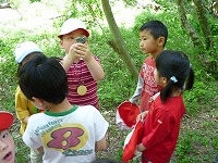2009-05-20 (Wed) ̉摜