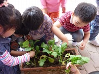 2009-06-15 (Mon) ̉摜