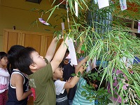 2009-07-07 (Tue) ̉摜