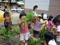 2009-09-10 (Thu) ̉摜