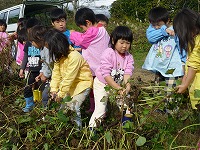 2009-11-16 (Mon) ̉摜