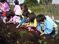 2009-11-16 (Mon) ̉摜