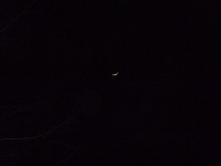 2010-01-18 (Mon) ̉摜