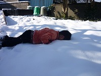 2010-02-02 (Tue) ̉摜