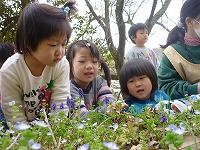 2010-04-21 (Wed) ̉摜