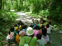 2010-05-31 (Mon) ̉摜