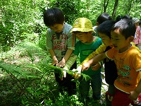 2010-05-31 (Mon) ̉摜