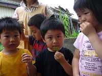 2010-06-11 (Fri) ̉摜